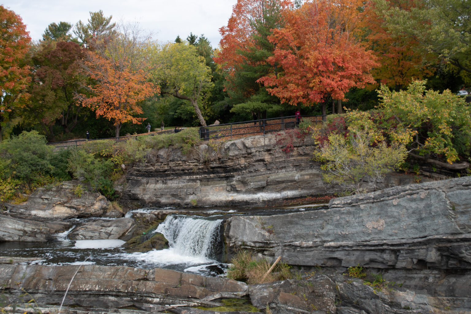 Download 400+ Royalty Free Landscapes Stock Photos