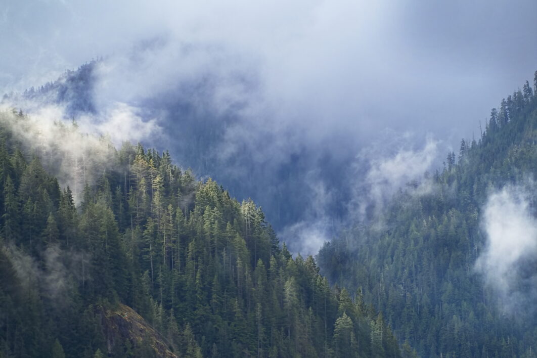 Misty Mountains Landscape