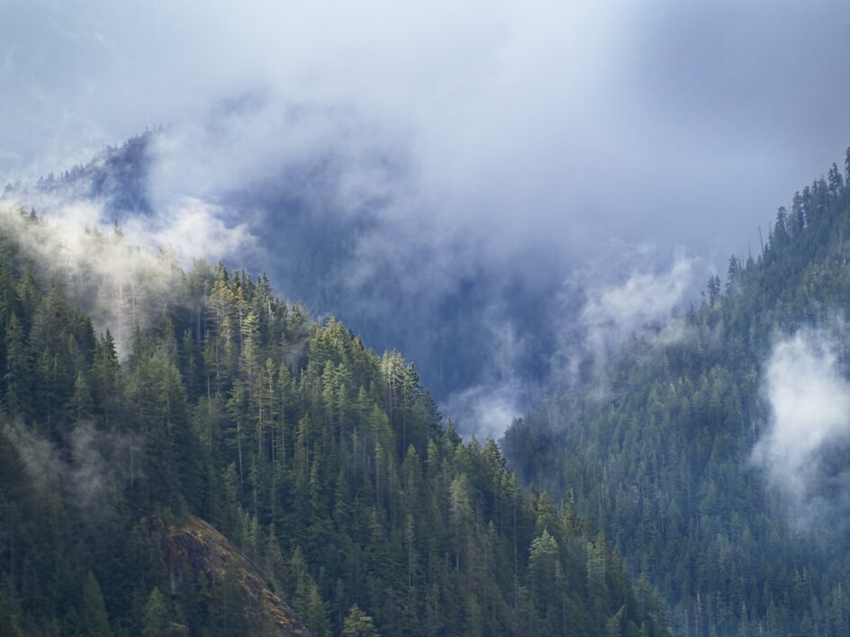 Misty Mountains Landscape