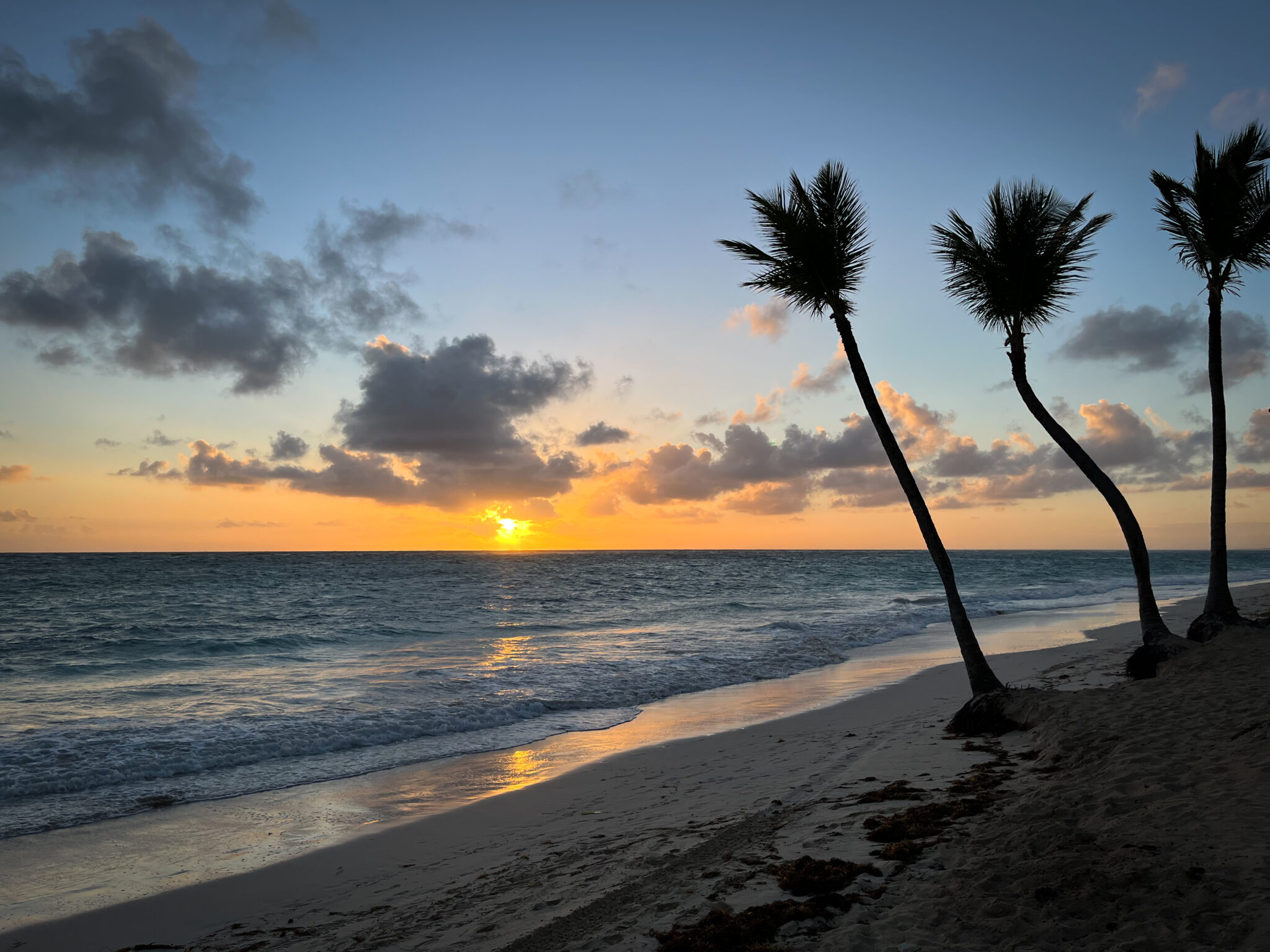 Tropical Beach Sunset Royalty Free Photo