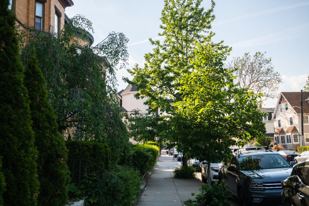 City Sidewalk on a Summer Day